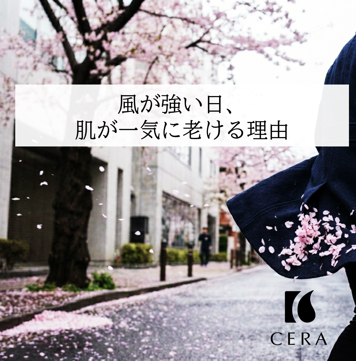 風が強い日、肌が一気に老ける理由／ビタミンEオイル・季節のセラリキッド「春の香り」