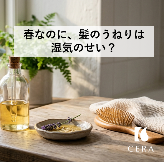 春なのに、髪のうねりは湿気のせい？／ビタミンEヘアオイル・セラストア