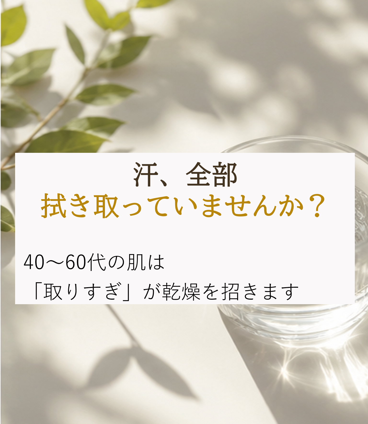 汗をかく季節になると、 つい何度も拭き取りたくなりますよね。 でも40〜60代の肌は、 汗や皮脂が減りやすく、 “取りすぎ”で乾燥が進むことも。 大切なのは、 汗を悪者にしすぎないこと。 やさしく整えて、 うるおいを守るケアへ。 #大人肌 #乾燥肌対策 #インナーケア #ビタミンE #エイジングケア #ツヤ肌 #夏肌対策 #スキンケア #肌バリア #美容オイル #セラストア #ビタミンEオイル