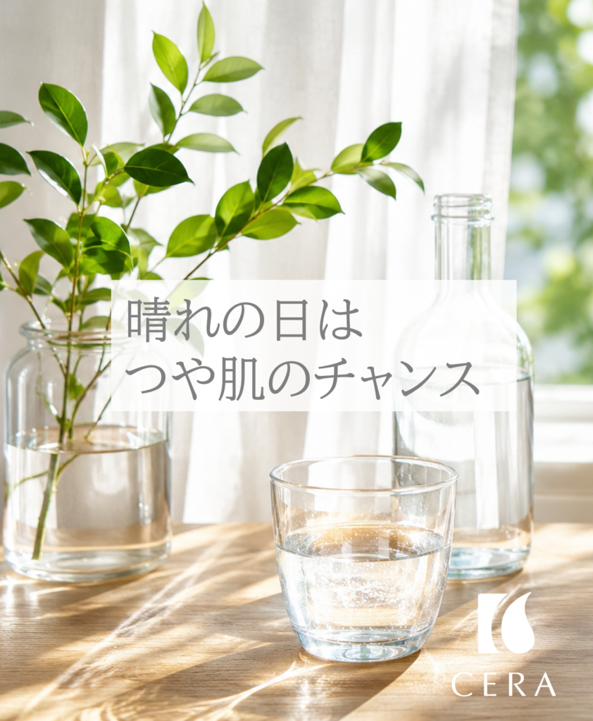 晴れの日はつや肌のチャンス／ビタミンＥオイルセラリキッド　#ツヤ肌 #血流改善 #大人美容 #エイジングケア ＃セラストア