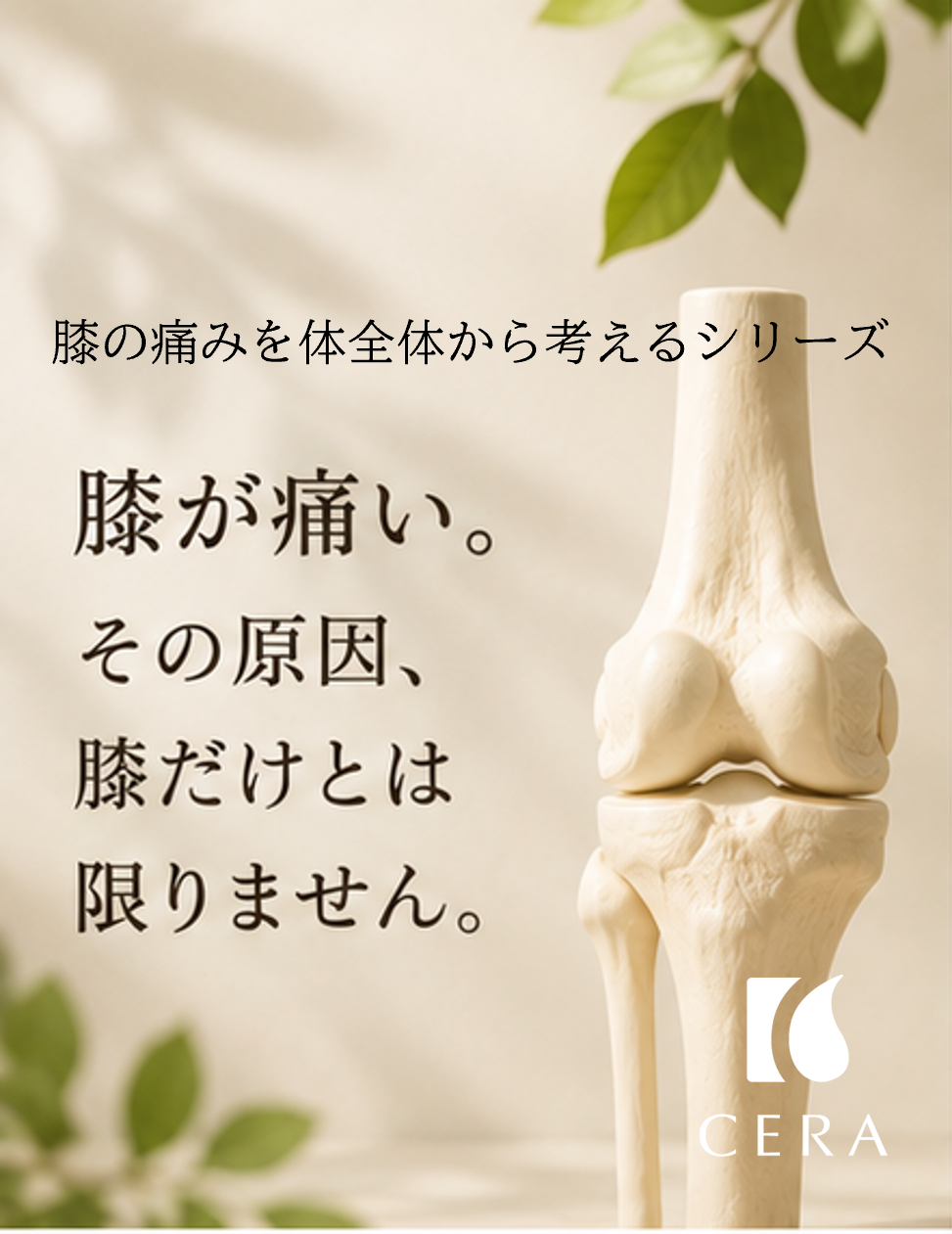 膝が痛い。その原因、膝だけとは限りません。